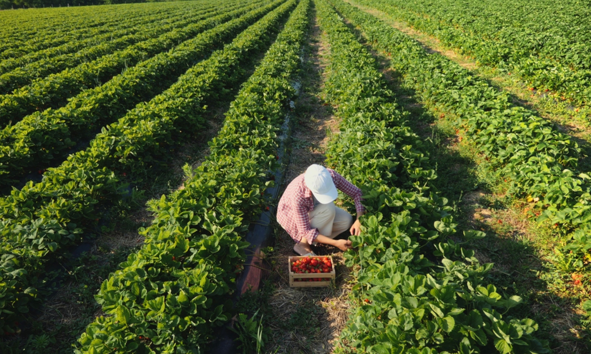 impactos-no-agronegocio-e-precos-de-alimentos
